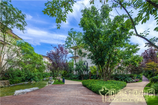 平和優(yōu)雅的人居美 藍(lán)調(diào)國(guó)際項(xiàng)目展示