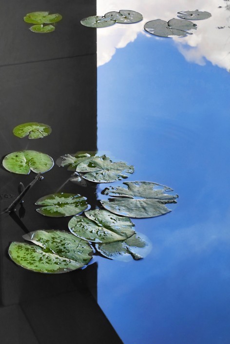 追尋最初的均衡-比利時住宅設計