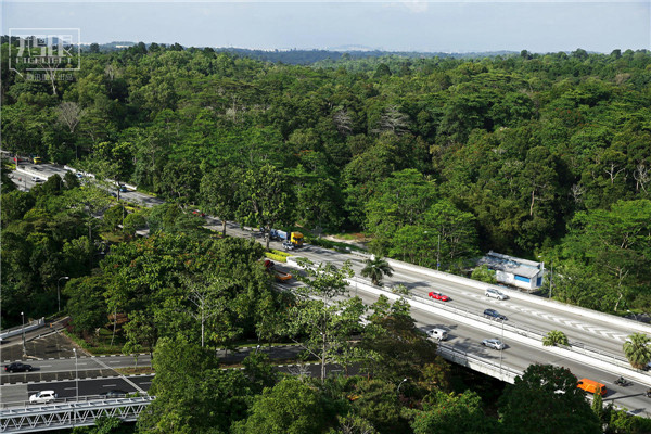 花園城市新加坡：鬧市區(qū)分布大片原始雨林