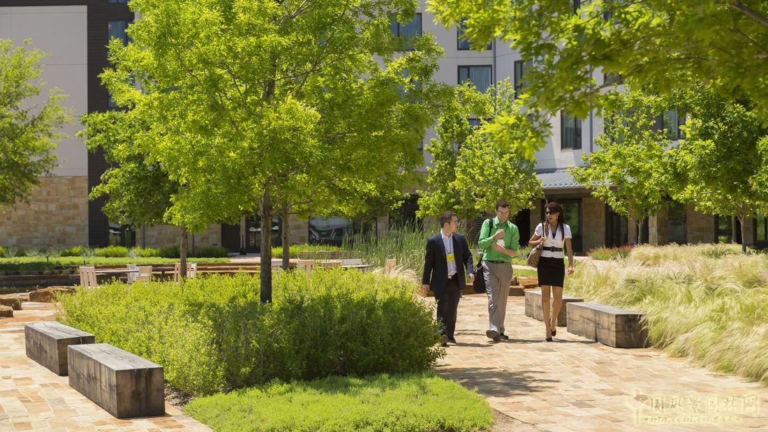 SWA經典案例:德勤大學景觀設計