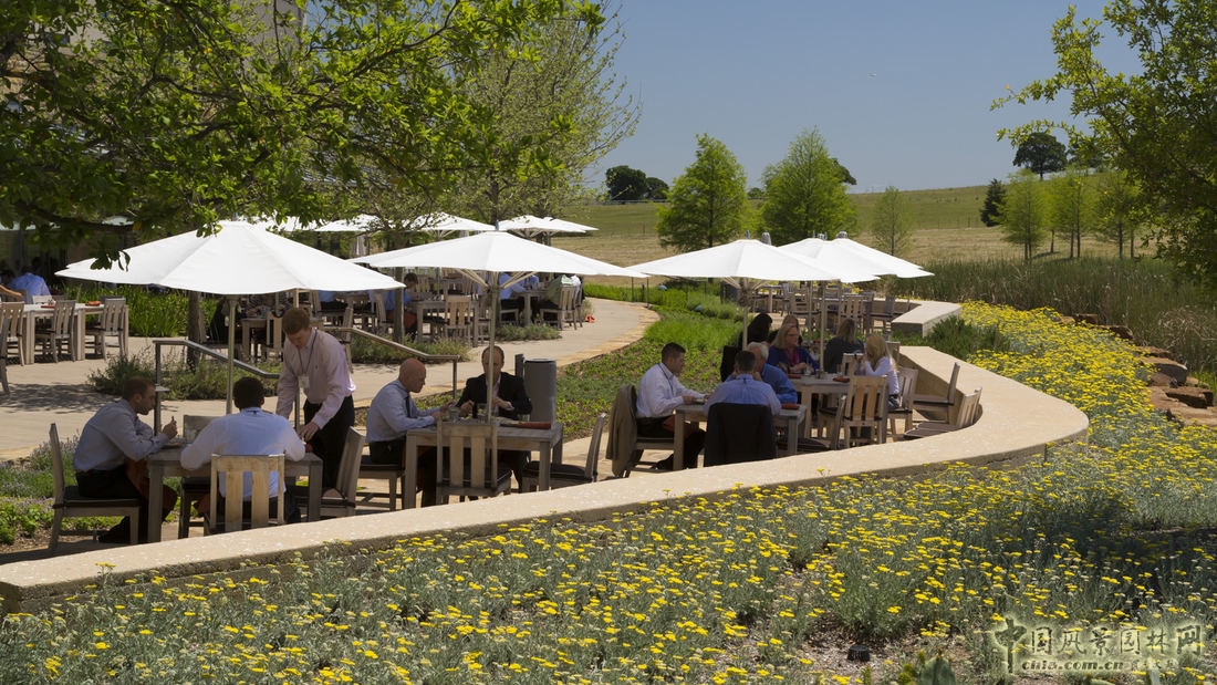 SWA經典案例：德勤大學景觀設計