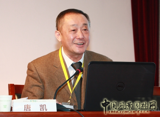 唐凱:提高城市發展的宜居性