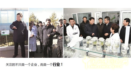 郭建梅：節水園林——蒙草遇上節水的時代