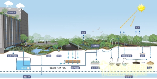 郭建梅：節水園林——蒙草遇上節水的時代