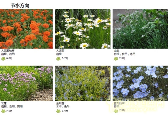 郭建梅:節(jié)水園林——蒙草遇上節(jié)水的時代