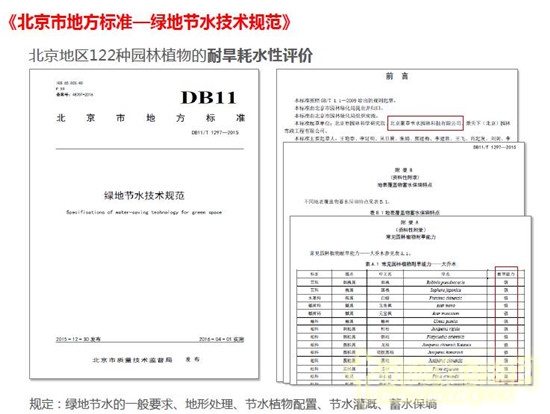 郭建梅:節(jié)水園林——蒙草遇上節(jié)水的時代