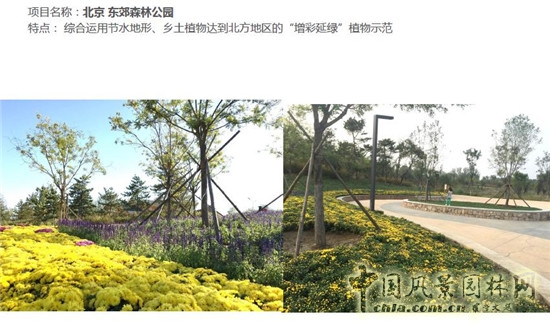 郭建梅：節水園林——蒙草遇上節水的時代