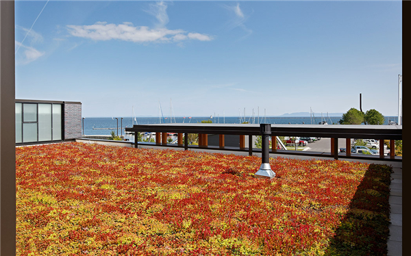 加拿大:安大略省雷灣濱水景觀