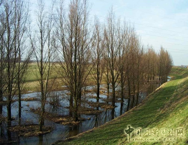 海綿城:瓦爾河河道擴建研究項目