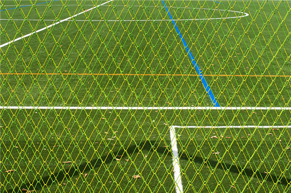 瑞士:蘇黎世Heerenschürli體育公園