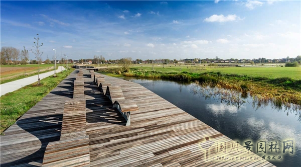 圣尼古拉市CLEMENTWIJK住區景觀設計