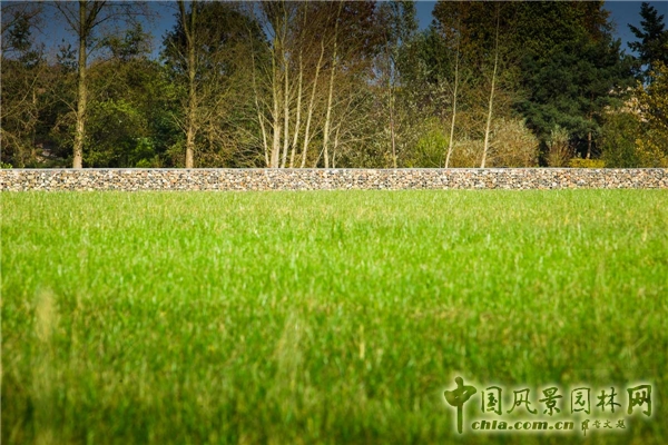 圣尼古拉市CLEMENTWIJK住區(qū)景觀設計