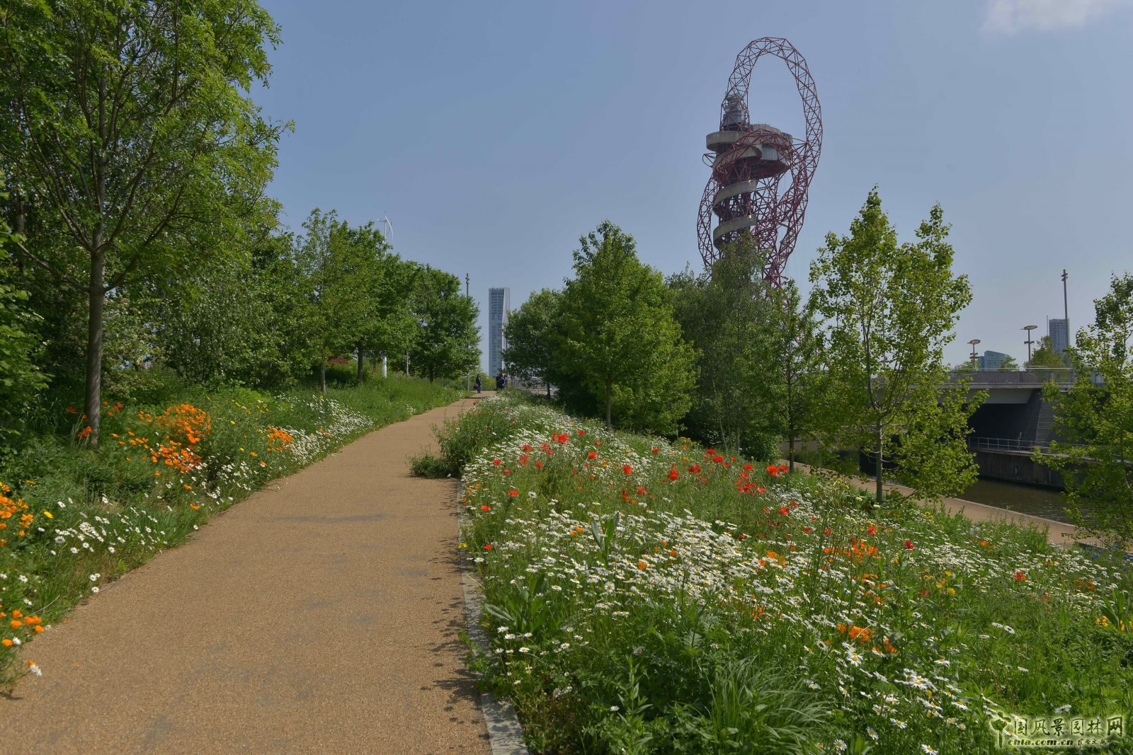 城市公園中的野花草甸——倫敦奧林匹克公園