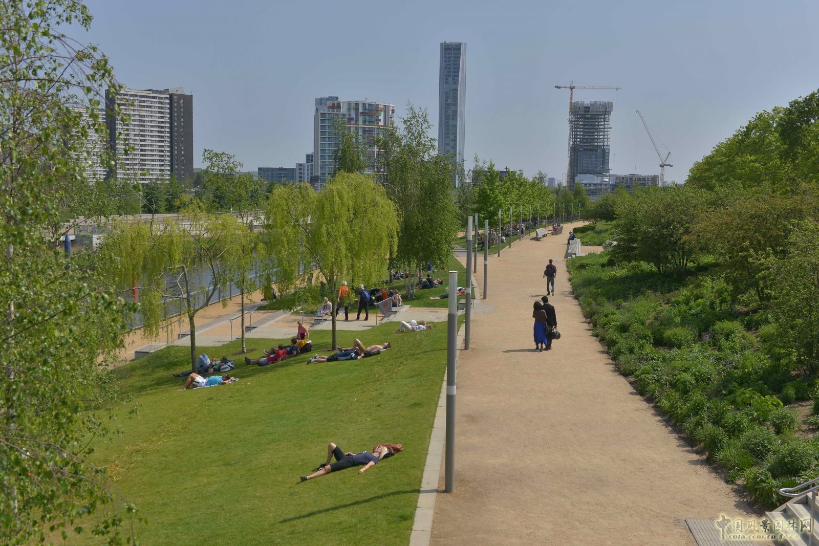 城市公園中的野花草甸——倫敦奧林匹克公園