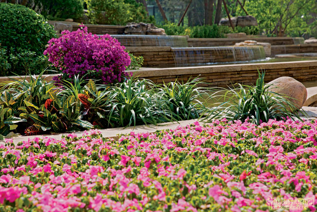 走進“龍湖·滟瀾新宸”系列深度報道：專訪北京龍湖孟軍