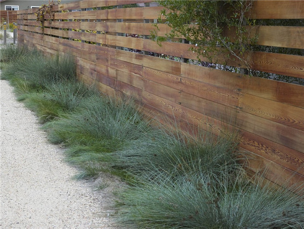 為成年自閉癥患者打造的全功能小區(qū)