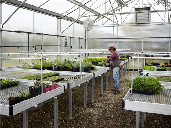 為成年自閉癥患者打造的全功能小區(qū)