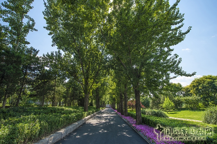 首創·天閱西山景觀： 大宅意境，典藏西山︱順景出品