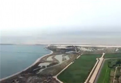上海首個濱海濕地公園“鸚鵡洲”濕地公園開工建設