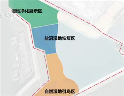 上海首個濱海濕地公園“鸚鵡洲”濕地公園開工建設