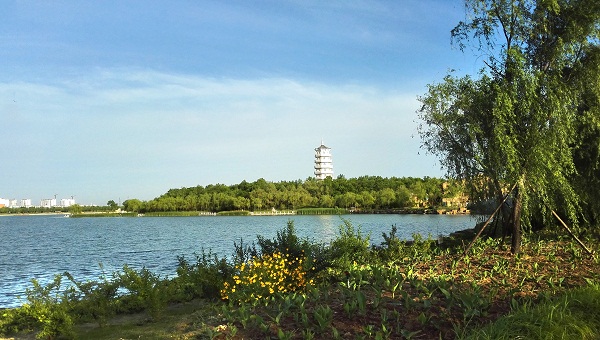 山東東營市民豐湖景觀提升規(guī)劃及一期改造