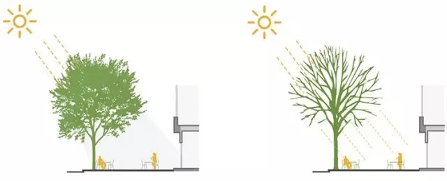 搶先看:《上海市街道設(shè)計導(dǎo)則》公示