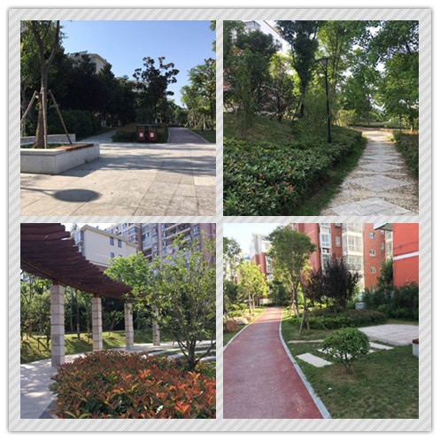 華藝生態(tài)喜獲2015年城鎮(zhèn)園林綠化精品示范工程