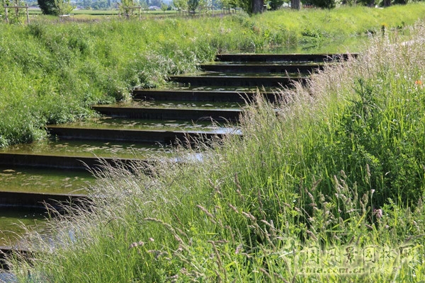 瑞士日內(nèi)瓦艾爾河生態(tài)修復(fù)工程賞析