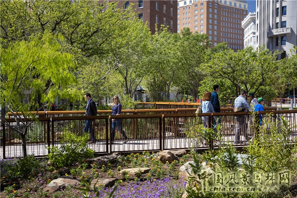 【7月12日頭條】埃爾帕索百年歷史公園