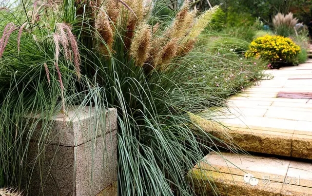 ECOLAND易蘭：成都麓湖紅石公園景觀設(shè)計(jì)