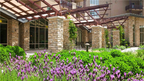 加州帕洛阿爾托“Vi生活”養老社區