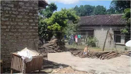民宿設計:霸王嶺雨林老屋酒店改造項目