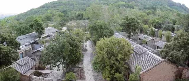 民宿設(shè)計(jì):霸王嶺雨林老屋酒店改造項(xiàng)目