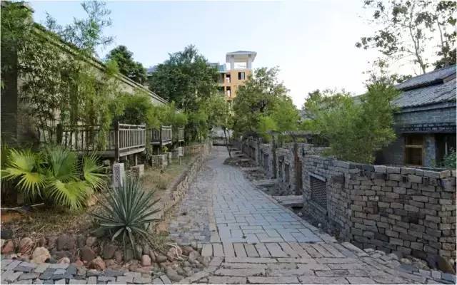 民宿設(shè)計(jì)：霸王嶺雨林老屋酒店改造項(xiàng)目