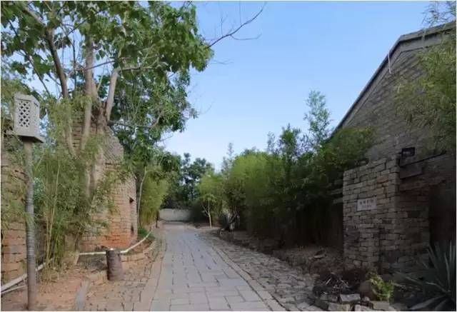 民宿設計：霸王嶺雨林老屋酒店改造項目