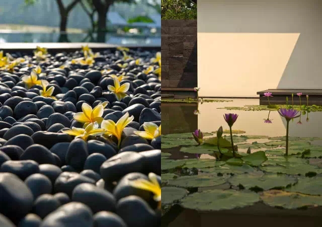 園林景觀設計中“園與水”的碰撞