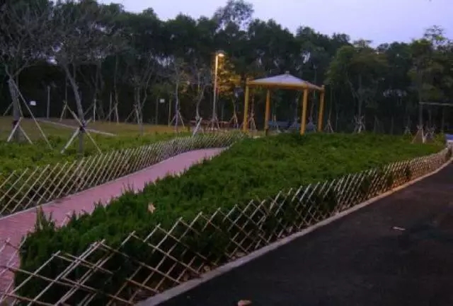 東方看世界:垃圾填埋場修復改造實例