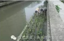 有圖有真相 水環(huán)境生態(tài)修復(fù)技術(shù)方案