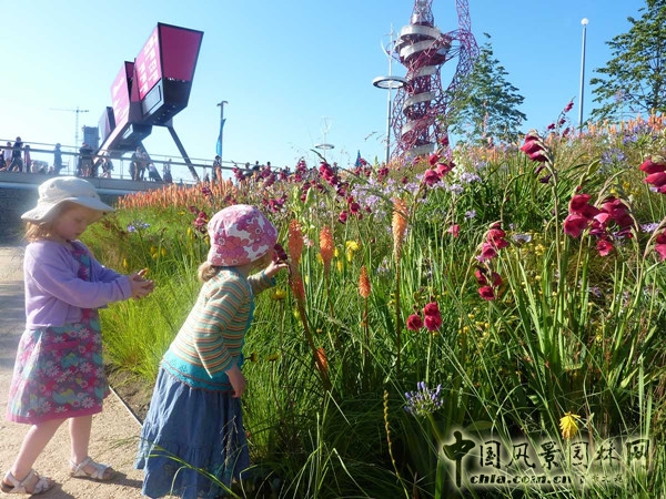 伊麗莎白奧林匹克公園項目賞析