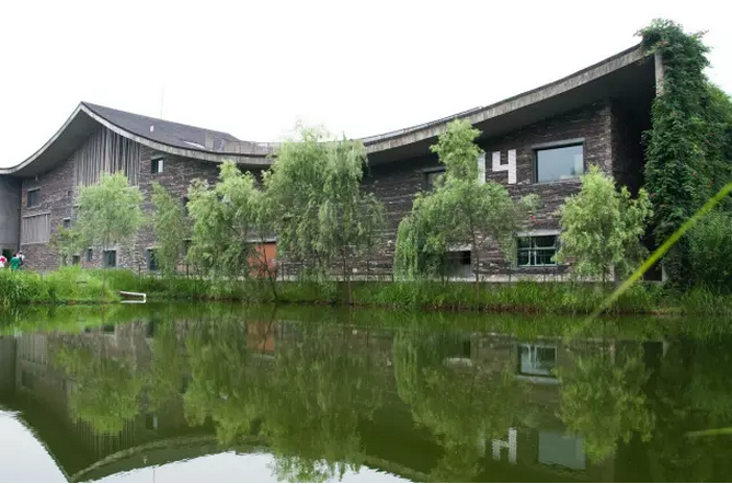 王澍:讓文化力量重返鄉村