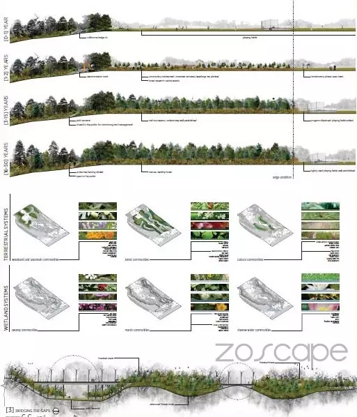 景觀分析圖繪制技巧