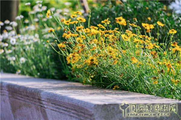 藍(lán)調(diào)國際：重慶金海灣濱江園  山水之城的濱水密境