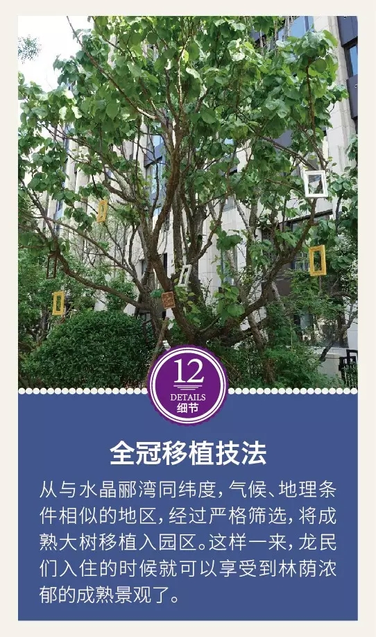 龍湖景觀設(shè)計的12個驚艷的細節(jié)