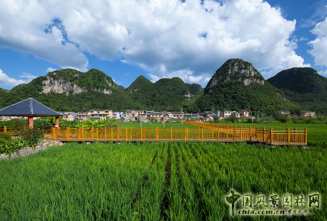 樓納國際高校建造大賽正式開幕