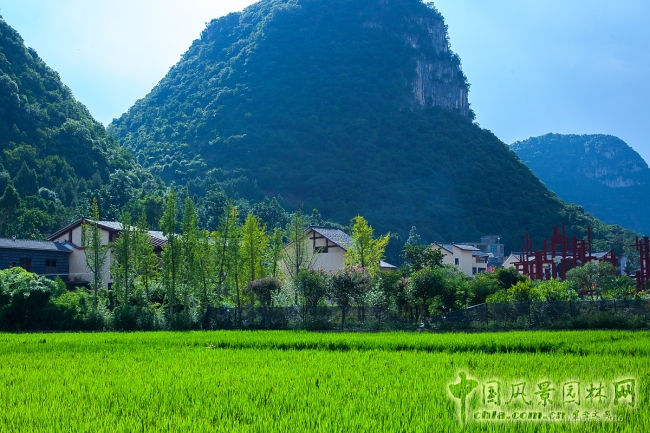 樓納國(guó)際高校建造大賽正式開(kāi)幕