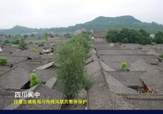 陽建強：基于城市發(fā)展整體框架下的歷史城市保護與更新