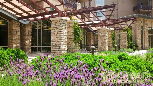 美西考察(加州站):SWA大師的方圓經典