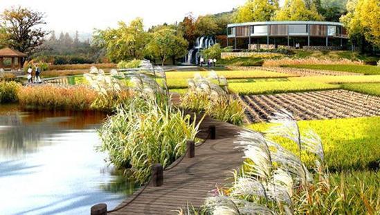 上海最美景觀梯田不久將隆重登場