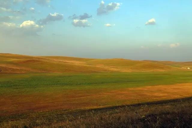 風(fēng)沙中的堅(jiān)強(qiáng)小草——蒙草生態(tài)修復(fù)顯成效