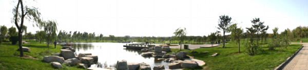 專訪由楊：獨特的管理體系助力優地聯合高效運營